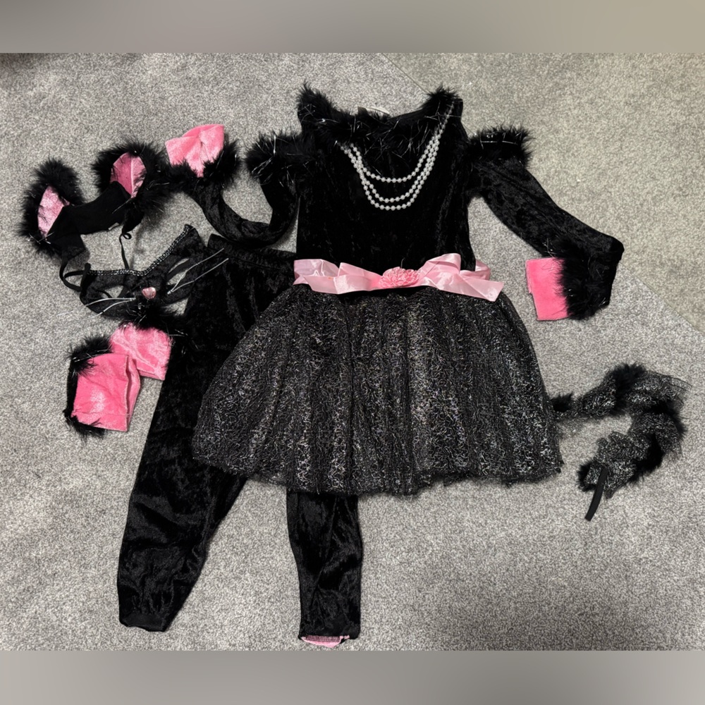 Black and Pink Cat Costume